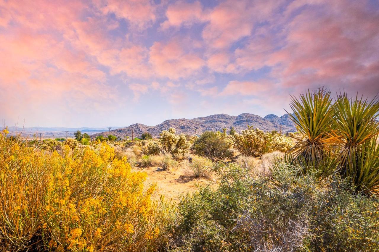 @ Marbella Lane - Modern Rustic Home in JT Joshua Tree Esterno foto